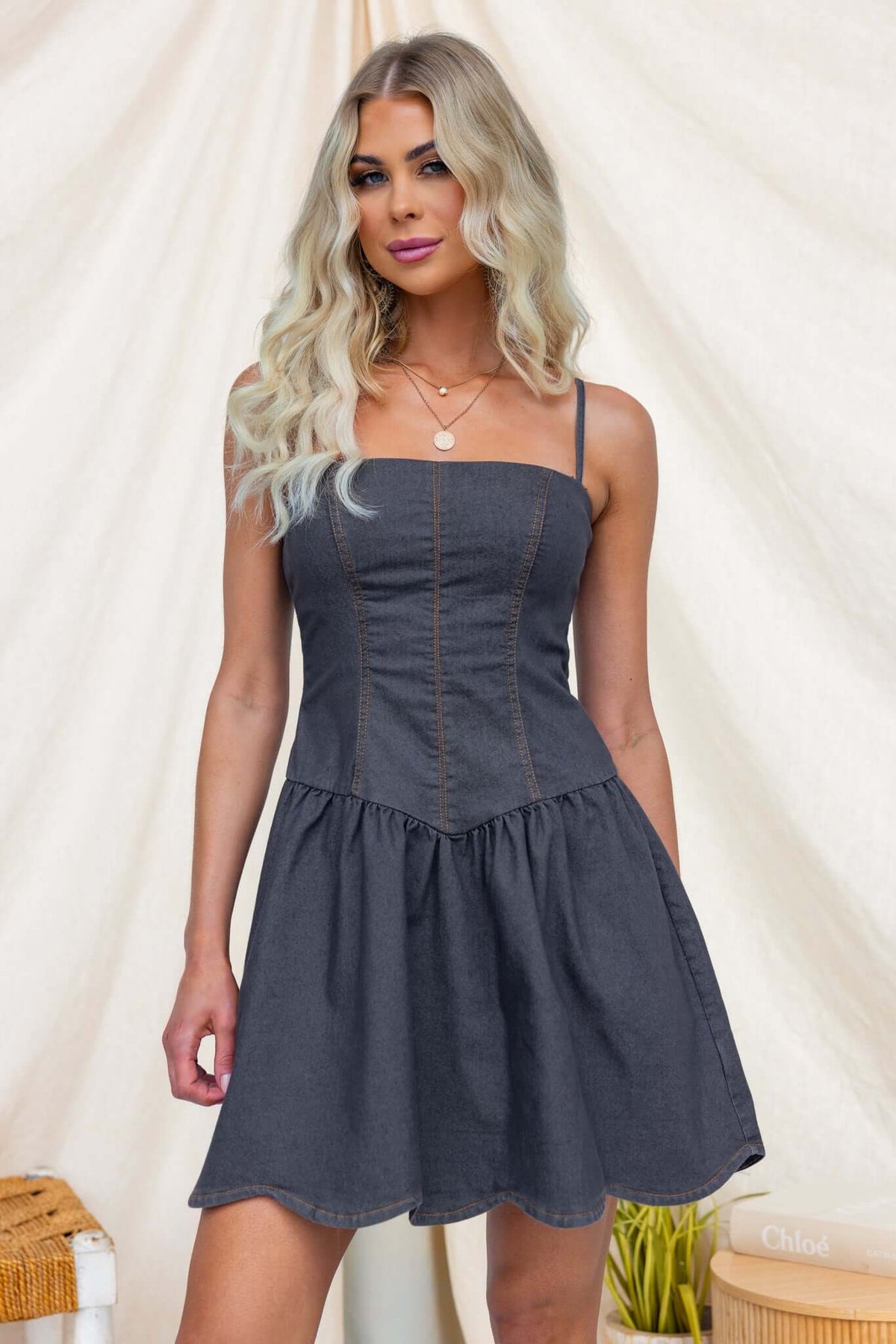 Elione Denim Dress