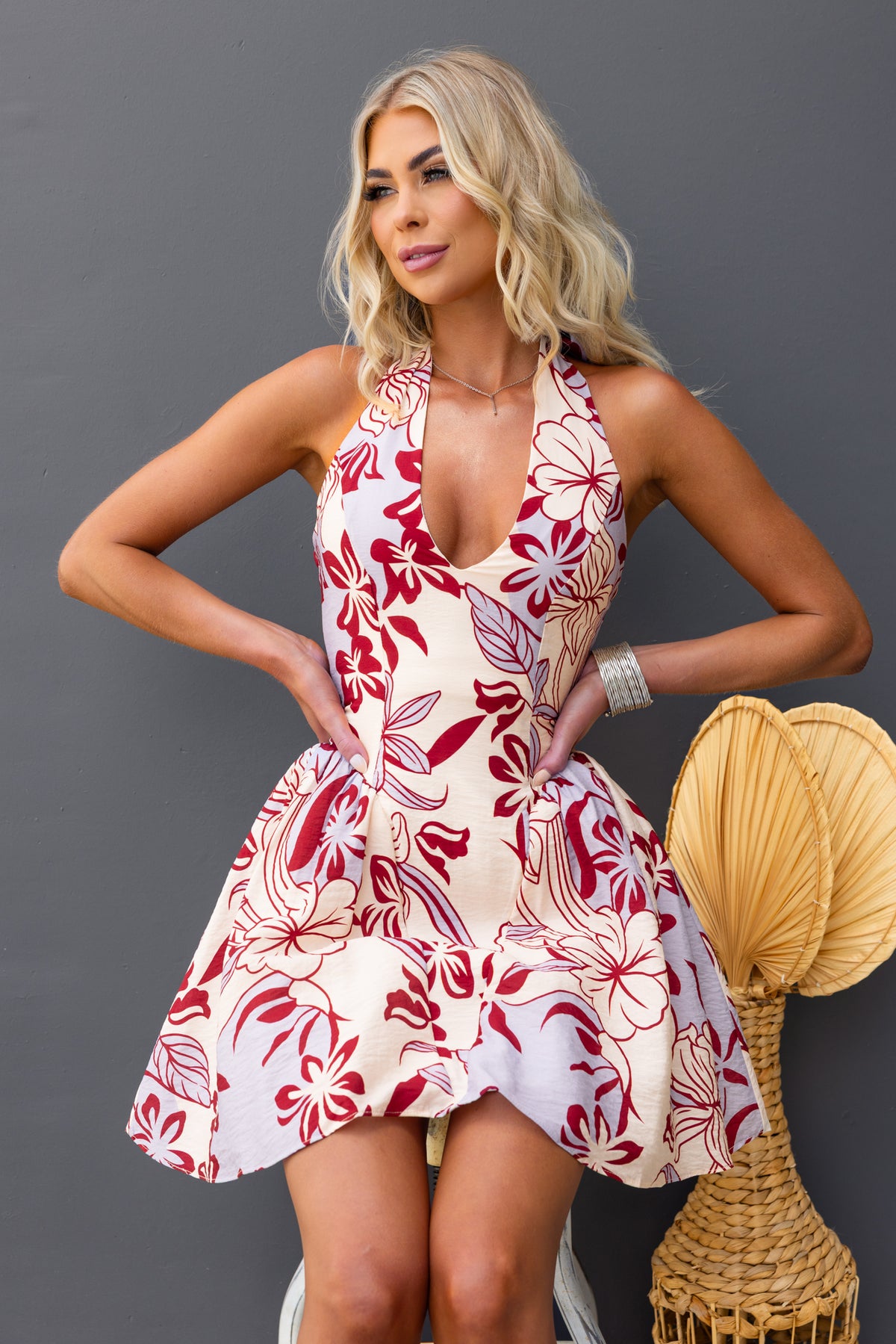 Imarnie Dress