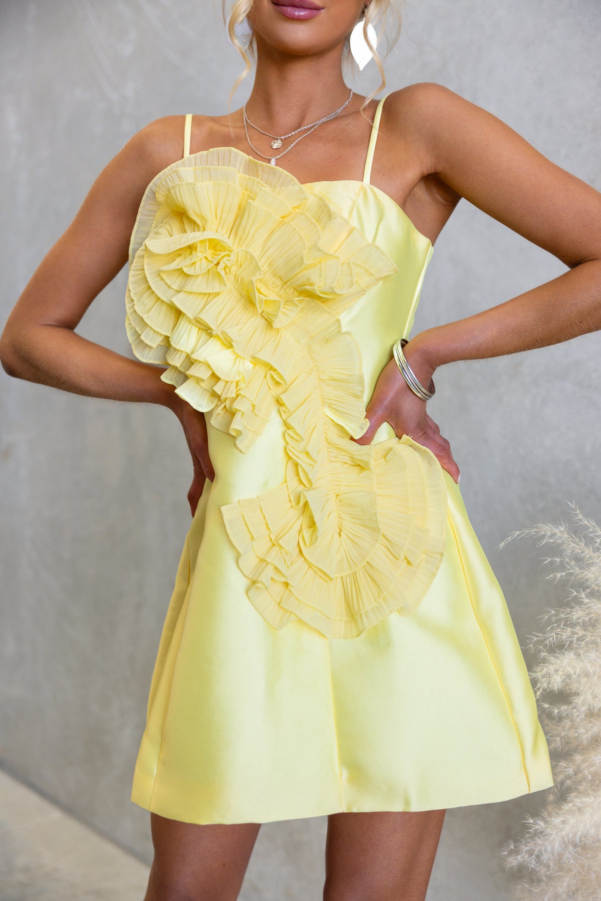 Strutter Dress