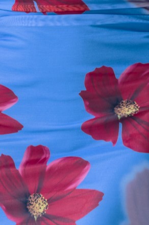 Close-up of blue fabric featuring vibrant red floral print, ideal for Alvara Maxi Dress.
