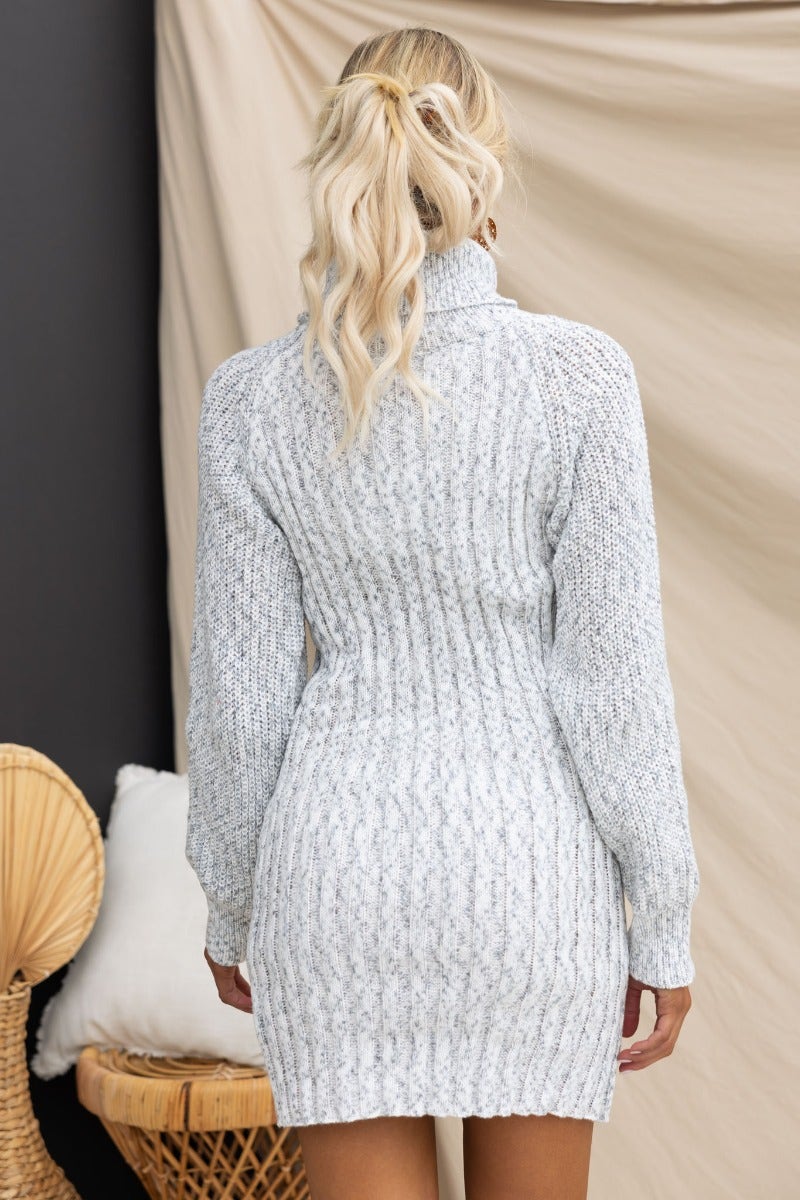 Back view of a ribbed knit Rosemary dress with turtle neckline, showcasing texture and fit.