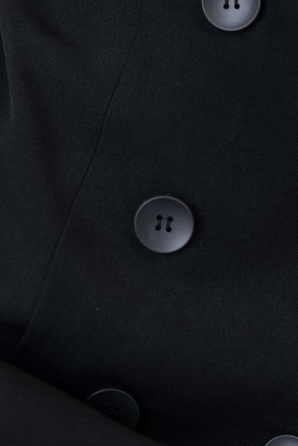 Close-up of black buttons on the Niles Dress, featuring a sleek and stylish design.