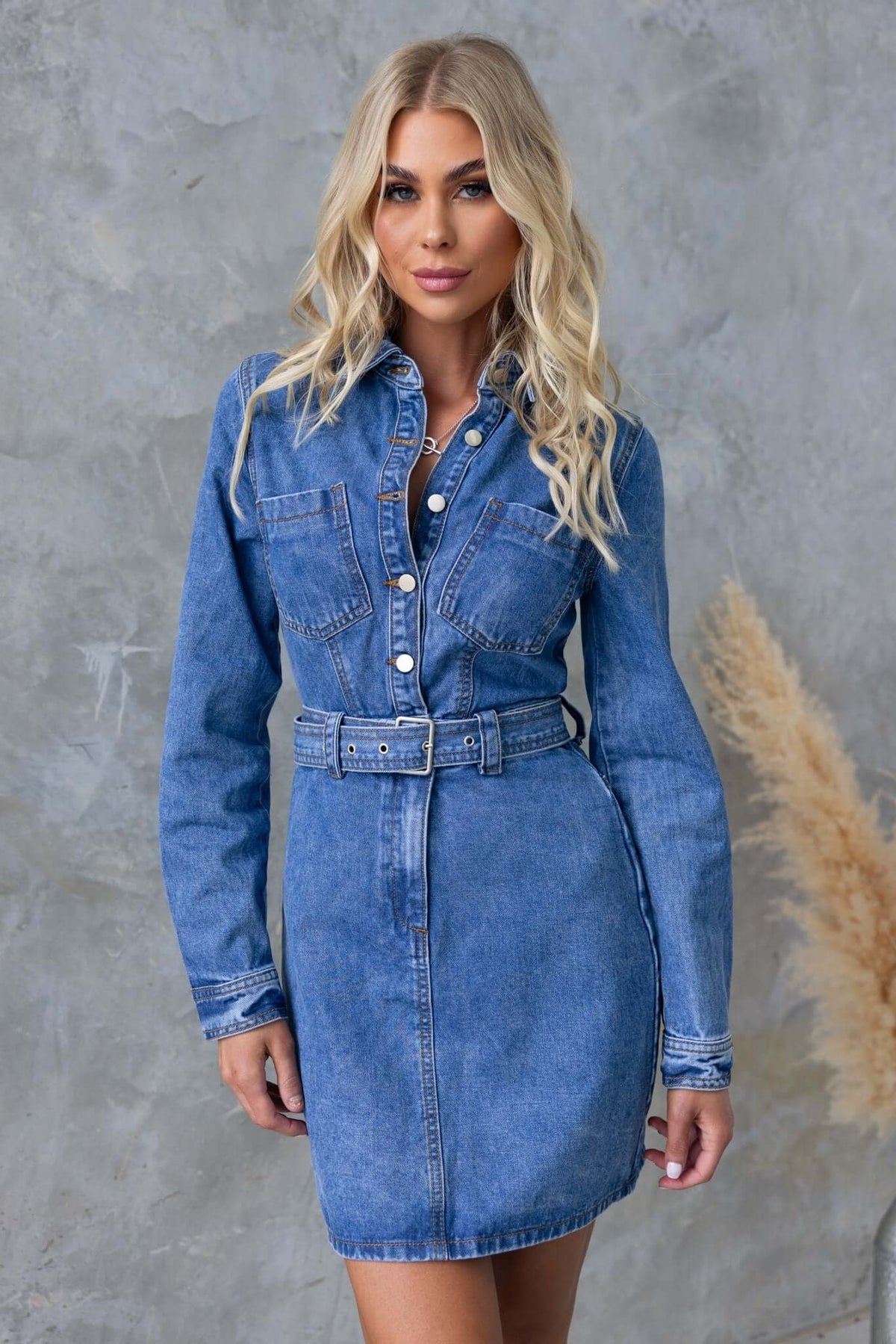 Stylish Barley denim dress featuring a button-up front, pockets, and a removable belt in a standard fit.