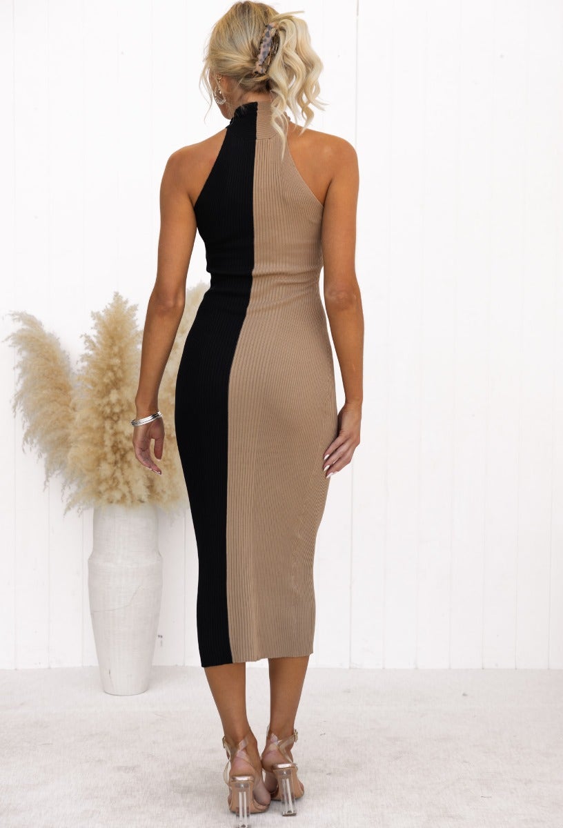 Brinney Midi Dress featuring a black and beige ribbed knit design with high neckline, showcasing back view.