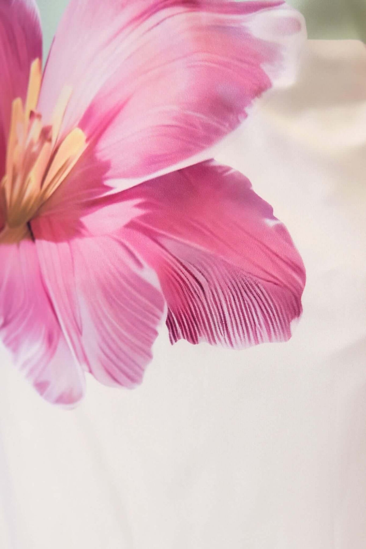 Close-up of a vibrant pink flower print on a white fabric, highlighting floral design details.