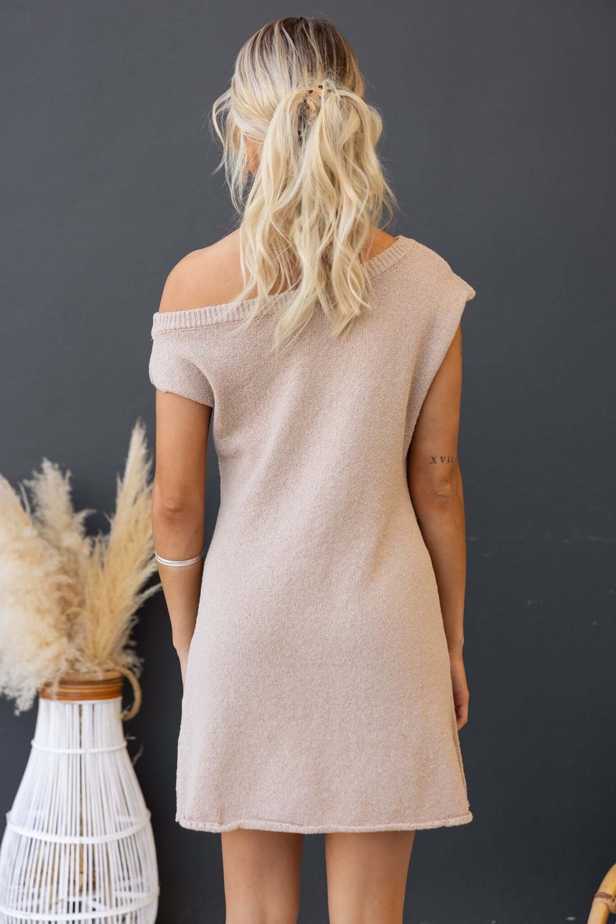 Back view of Indiana Dress featuring a boat neckline, knit material, and an oversized fit in a light beige color.