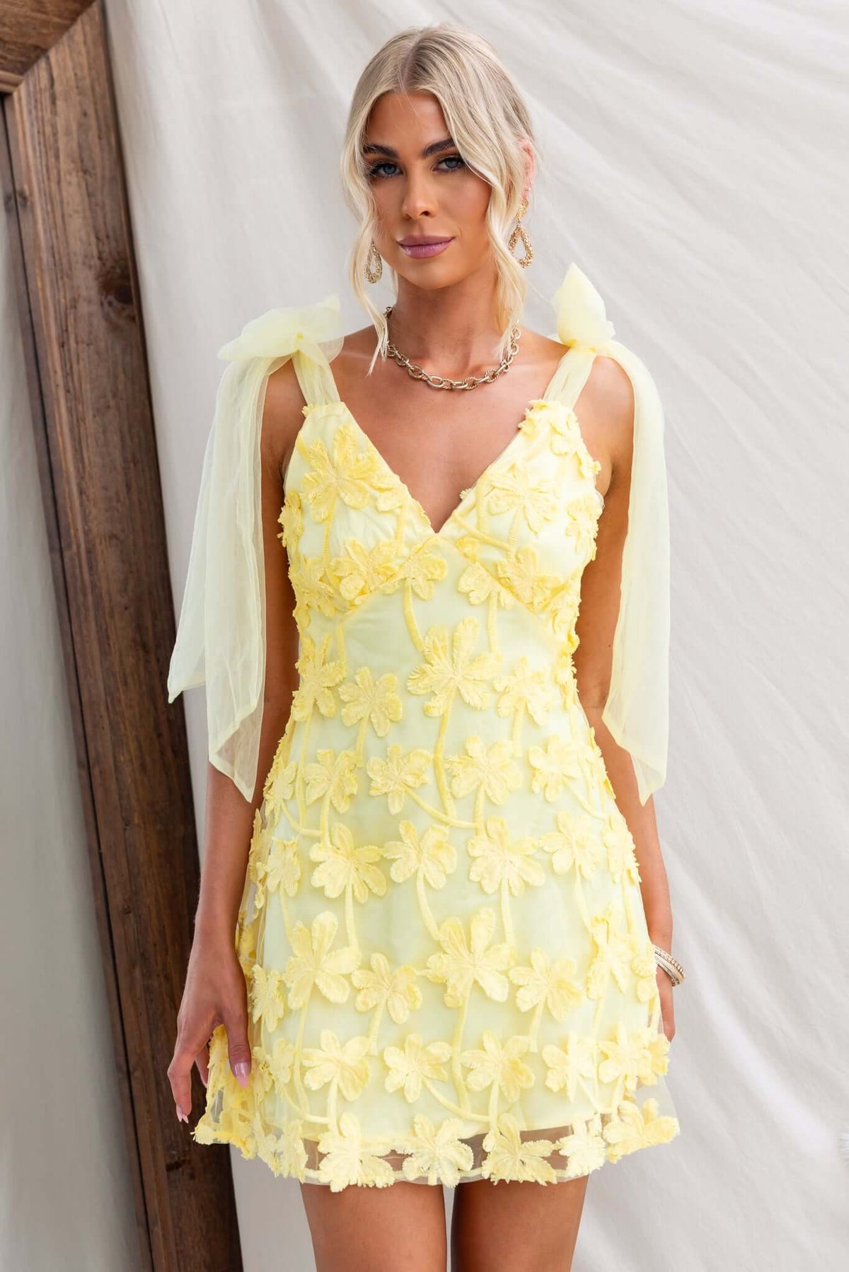 Xaria Dress in yellow with floral tulle embroidery, tie straps, and a back zip, perfect for summer outings.